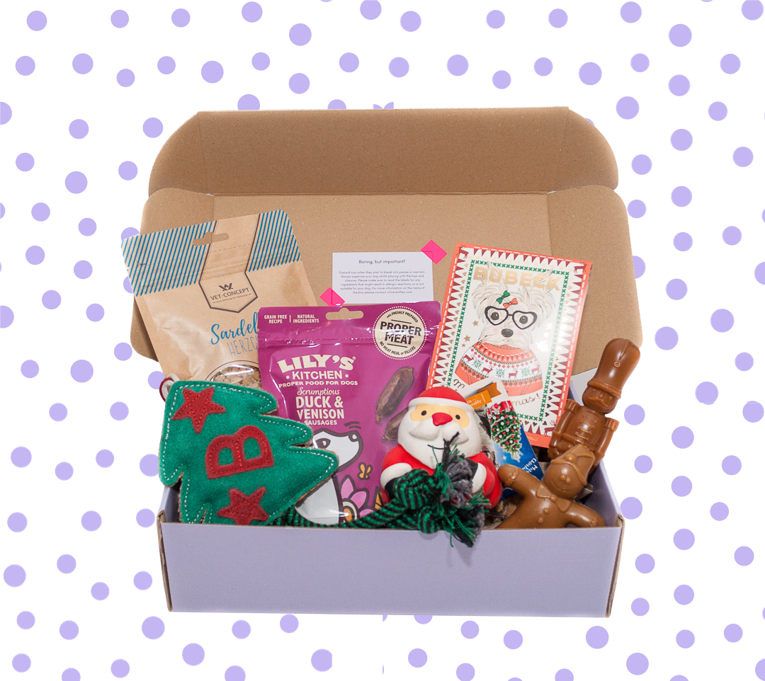 Dog Mystery Box Dog Toy Box Gift for Dog Mystery Gift Gifts for