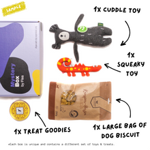 Load image into Gallery viewer, Cuddly dogs&#39; Mystery Toy &amp; Treat Box
