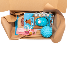 Load image into Gallery viewer, Active dogs&#39; Mystery Toy &amp; Treat Box
