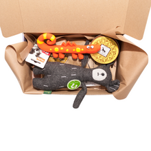 Load image into Gallery viewer, Cuddly dogs&#39; Mystery Toy &amp; Treat Box
